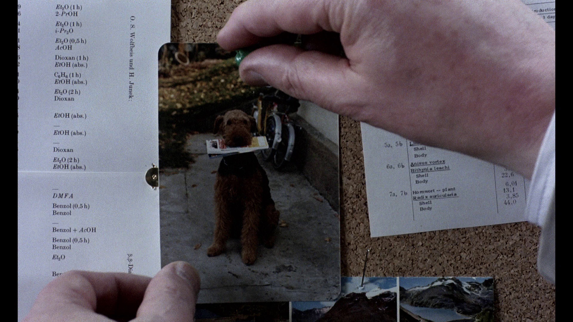 Screen capture from Michael Haneke: Trilogy