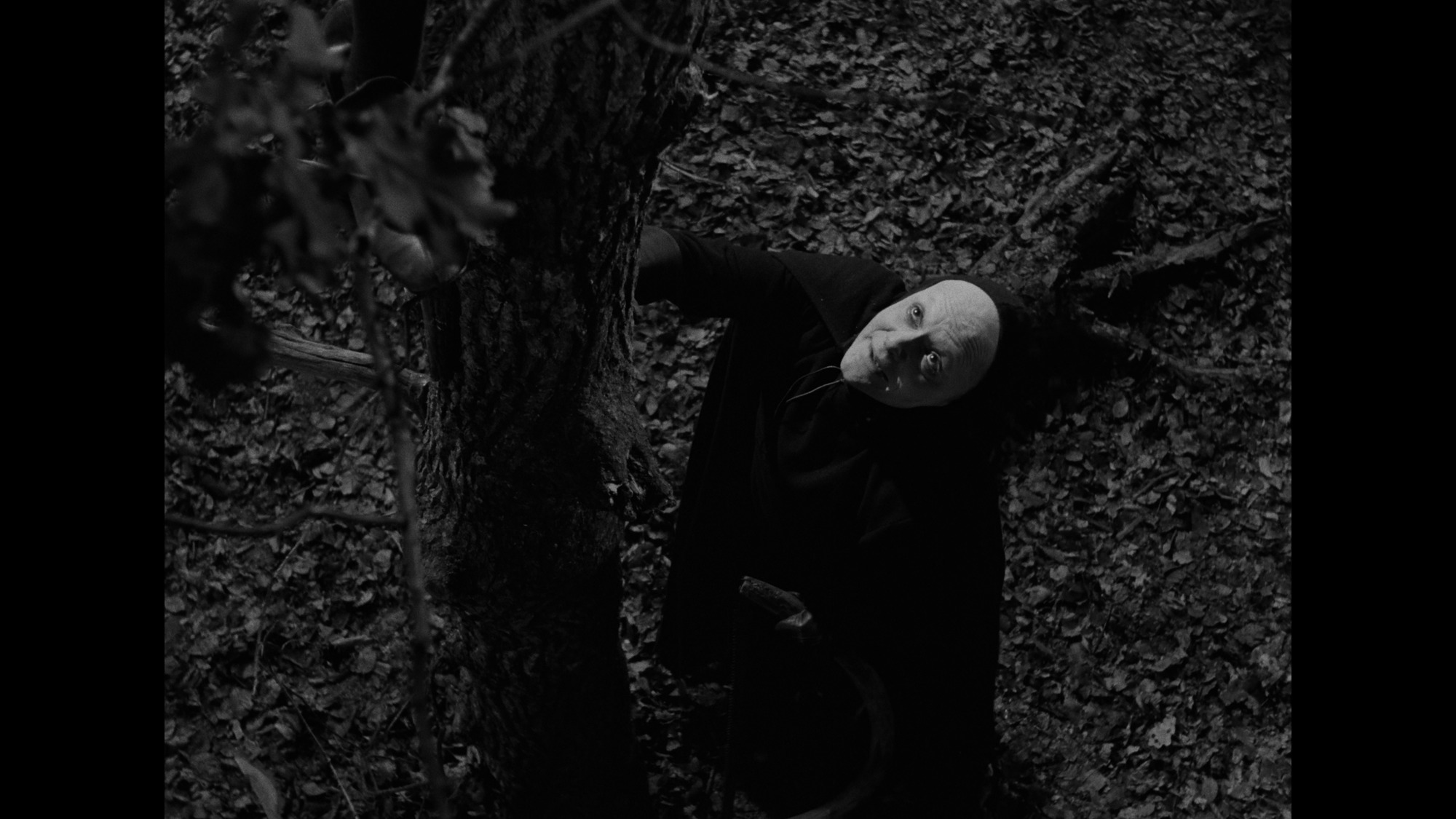 Screen capture from The Seventh Seal