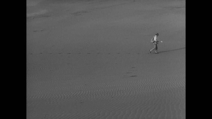 Screen capture from Woman in the Dunes