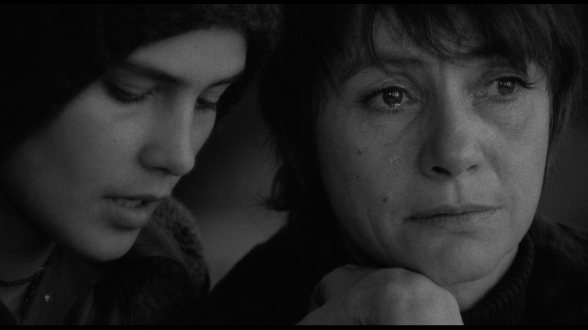 Screen capture from Adoption