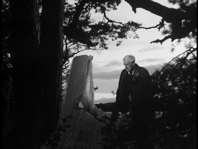 Screen capture from Wild Strawberries