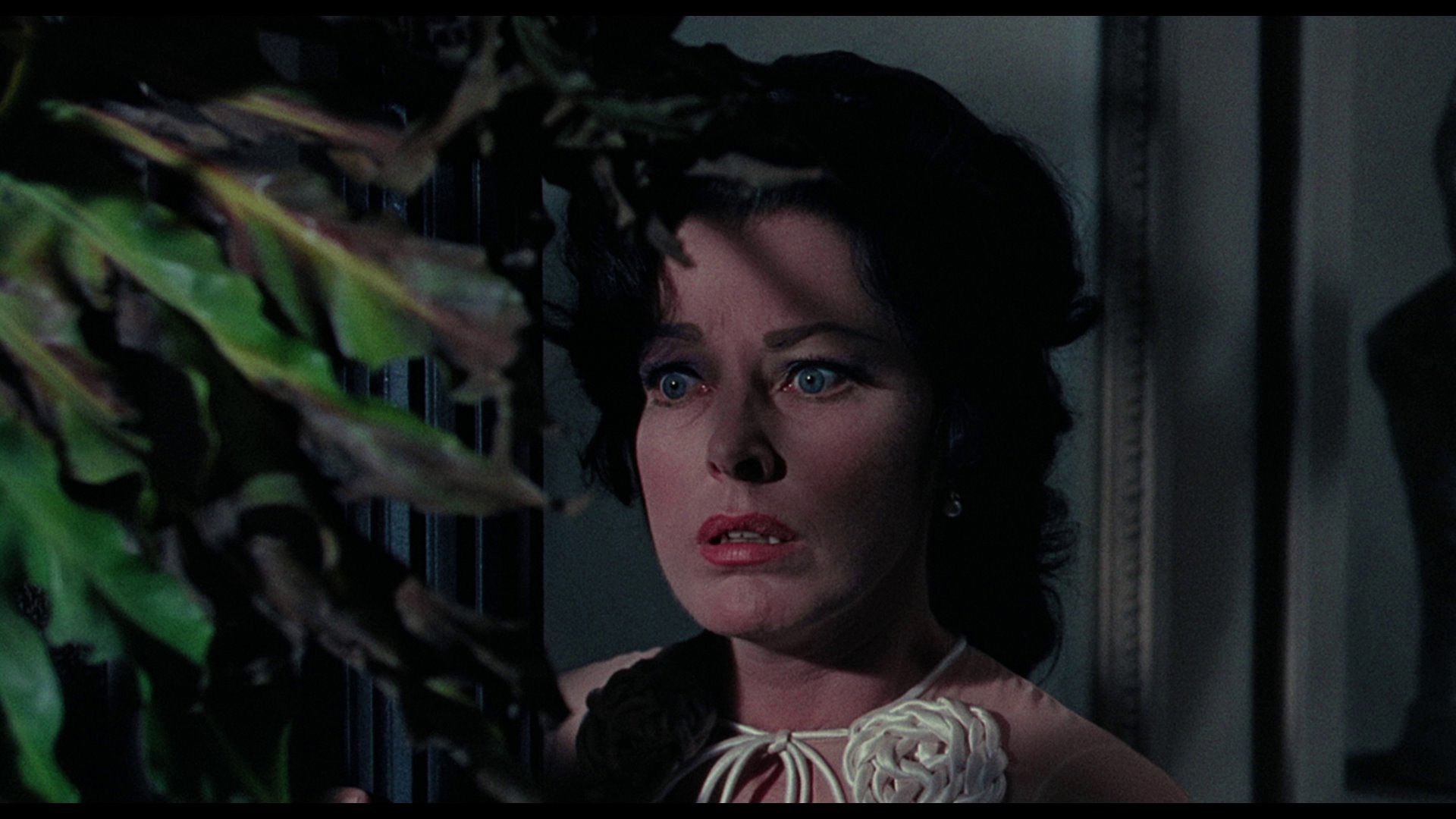 Screen capture from Eye of the Cat