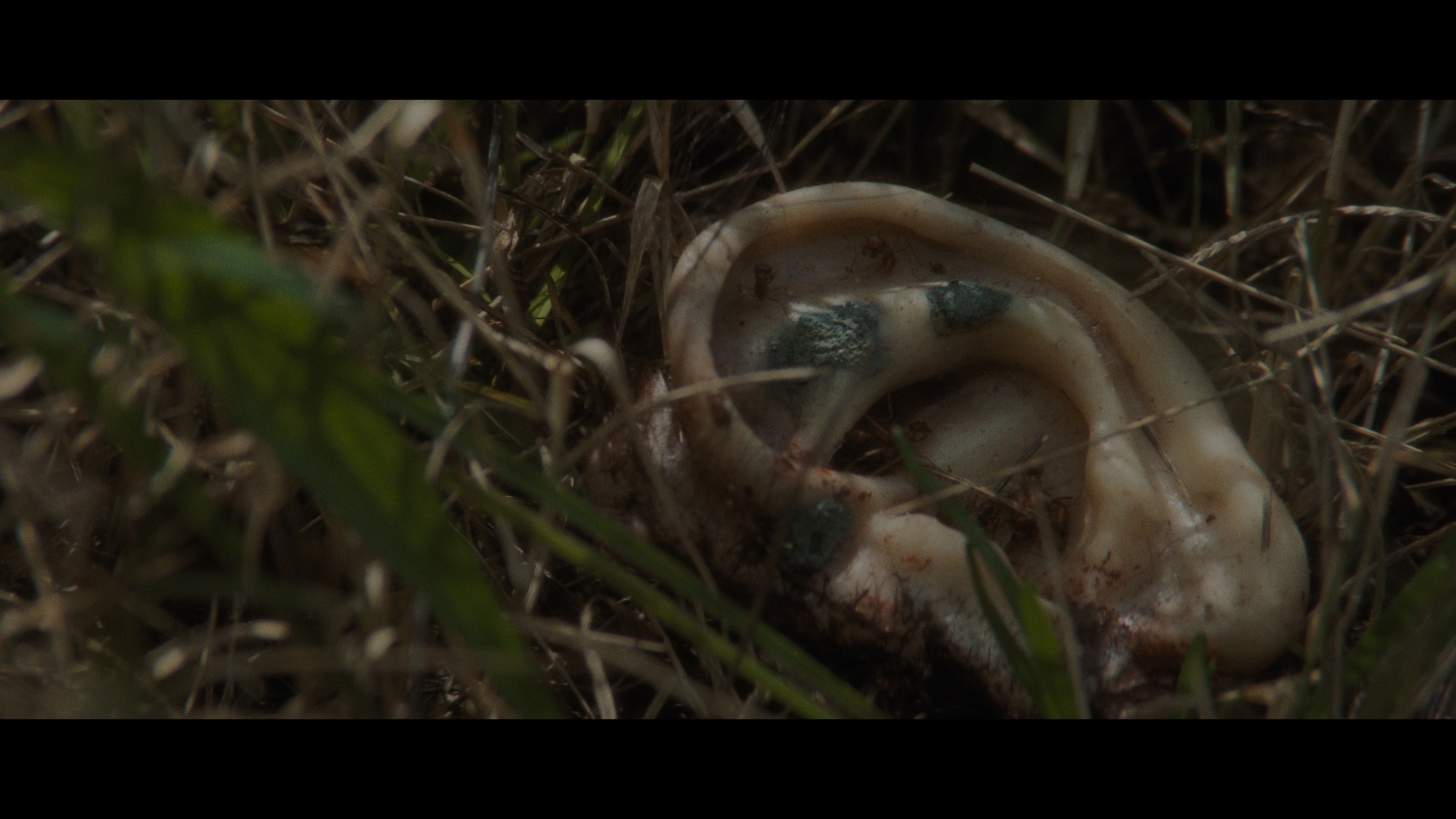 Screen capture from Blue Velvet