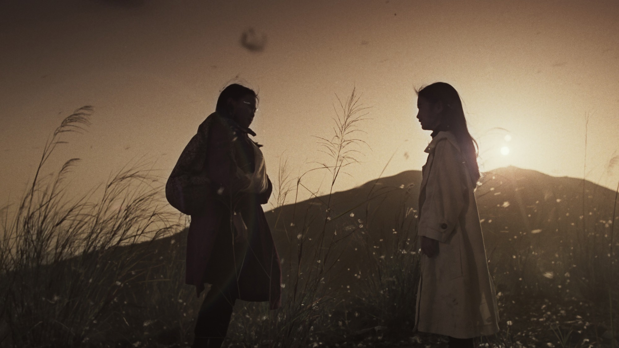 Screen capture from The Heroic Trio / Executioners