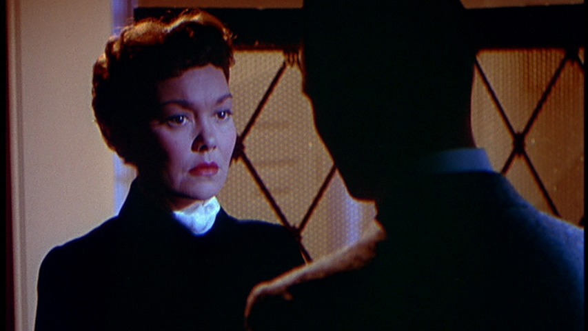 Screen capture from All That Heaven Allows