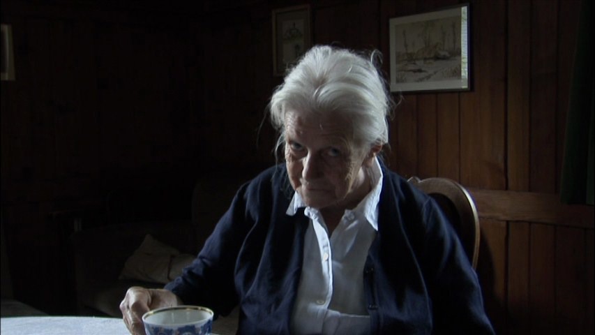 Screen capture from The Woman with the Five Elephants