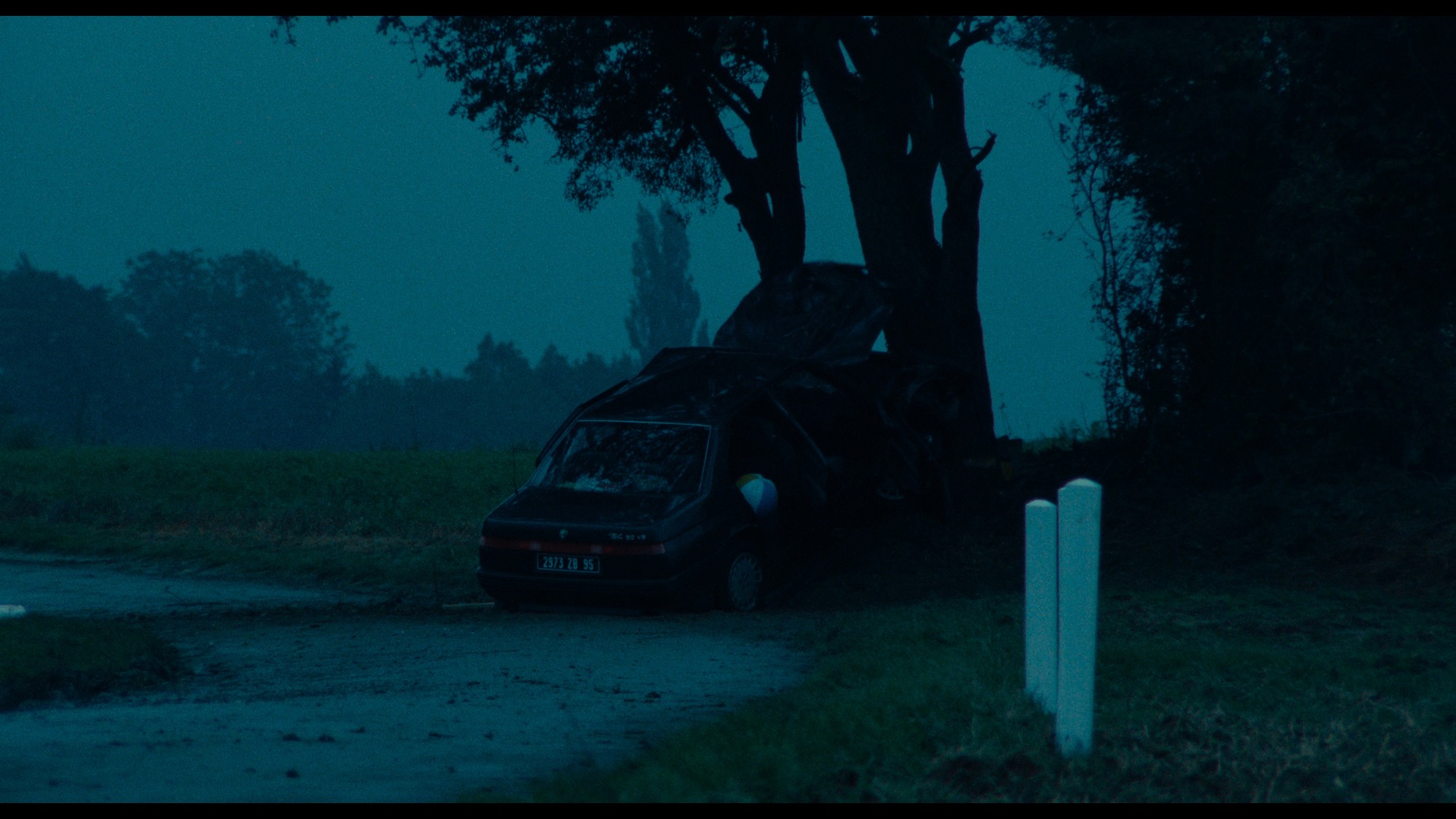 Screen capture from Three Colors: Blue