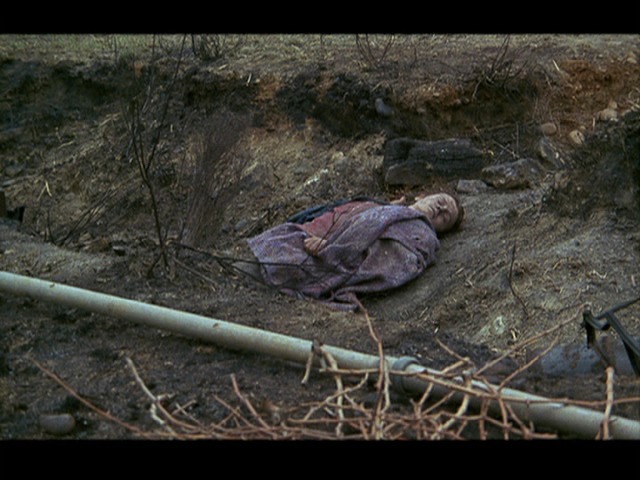 Screen capture from Vagabond