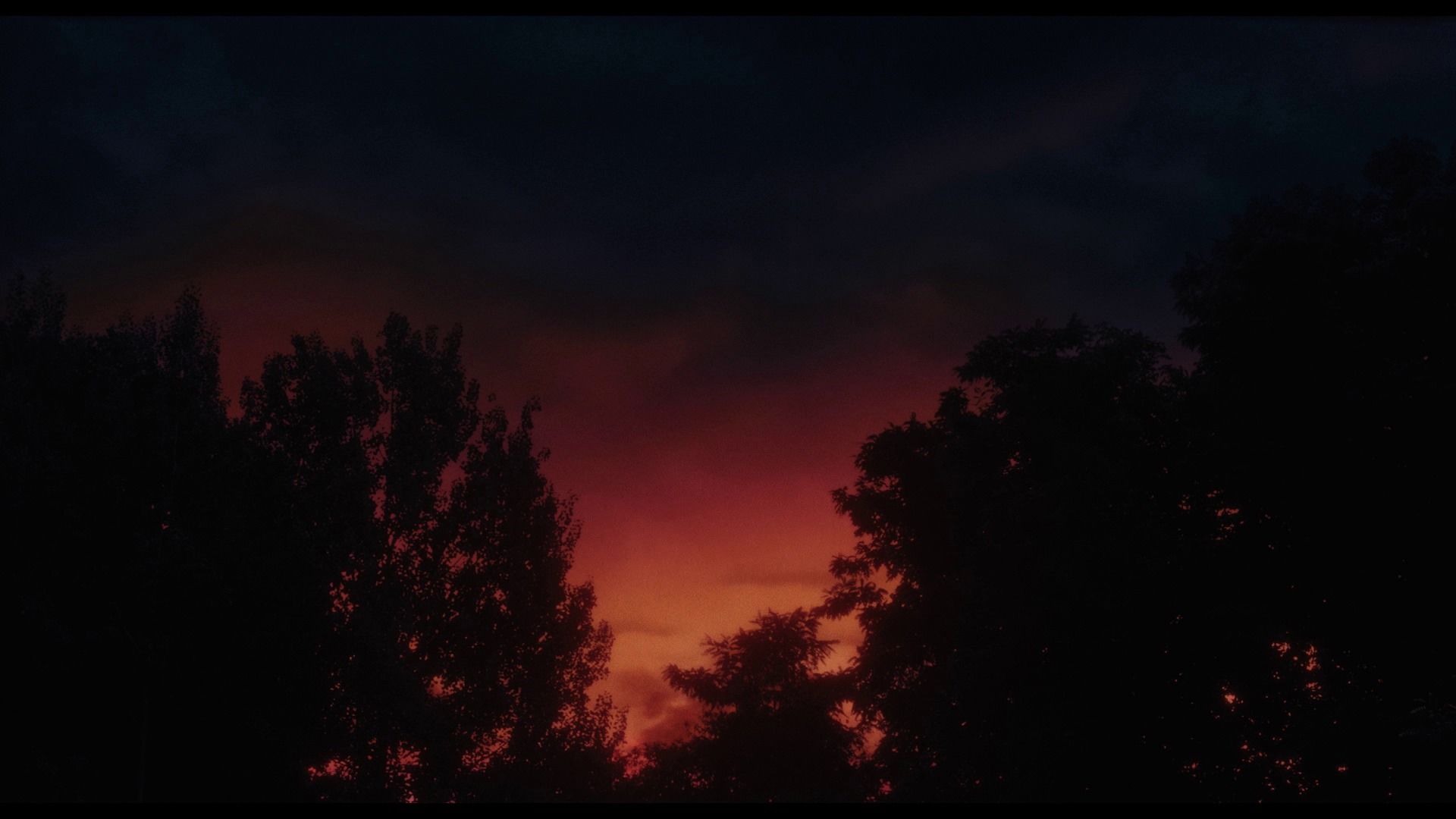 Screen capture from Afire