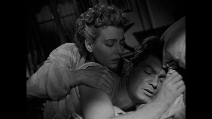Screen capture from Orpheus