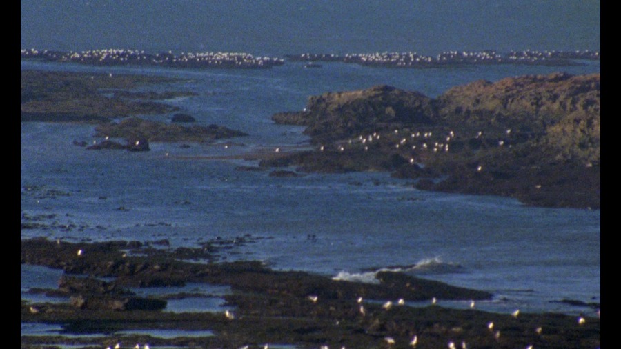 Screen capture from Trances / The Housemaid