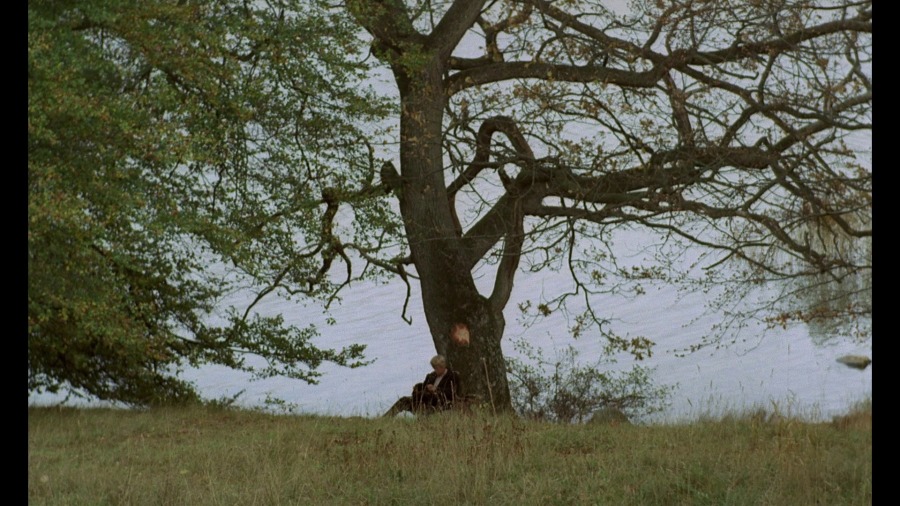Screen capture from The Emigrants • The New Land