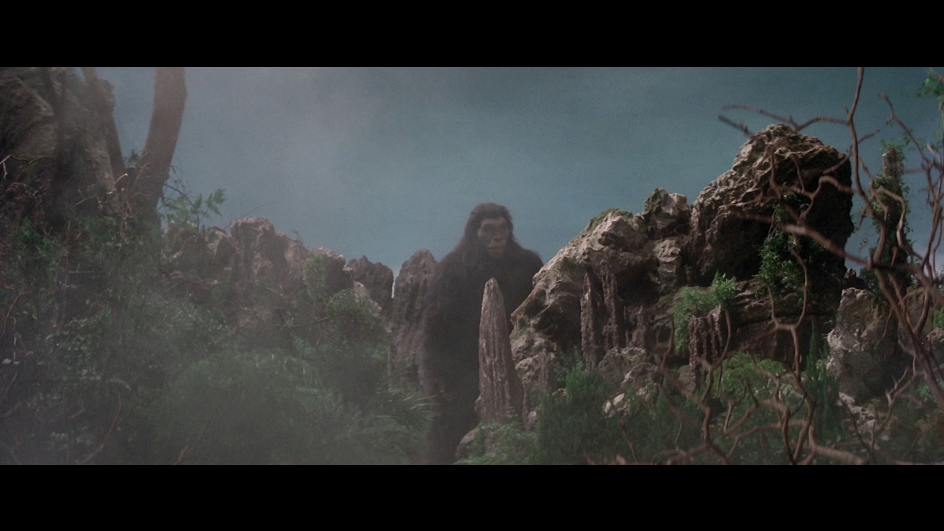 Screen capture from Shawscope: Volume One