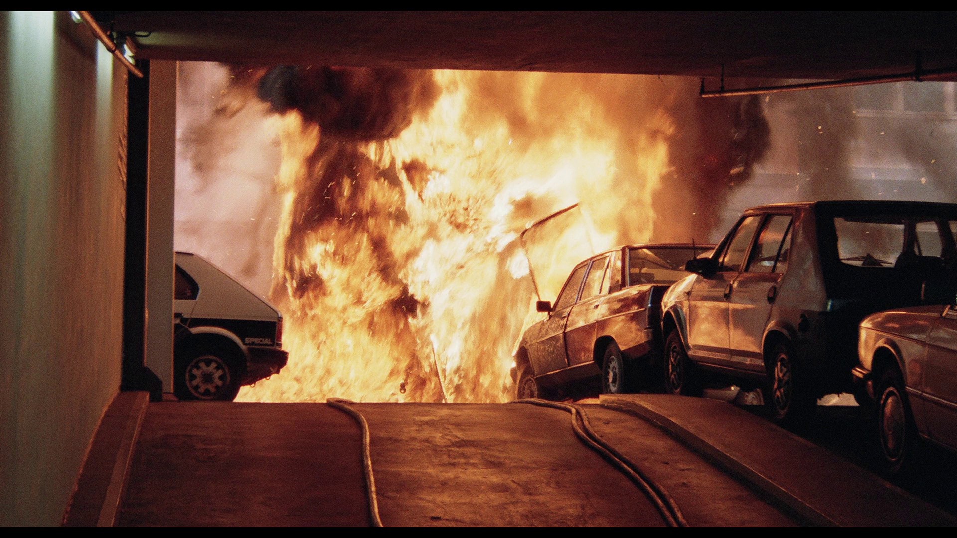 Screen capture from The Cat
