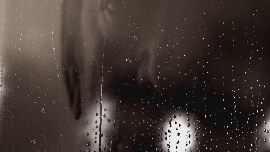 Screen capture from Heart of a Dog