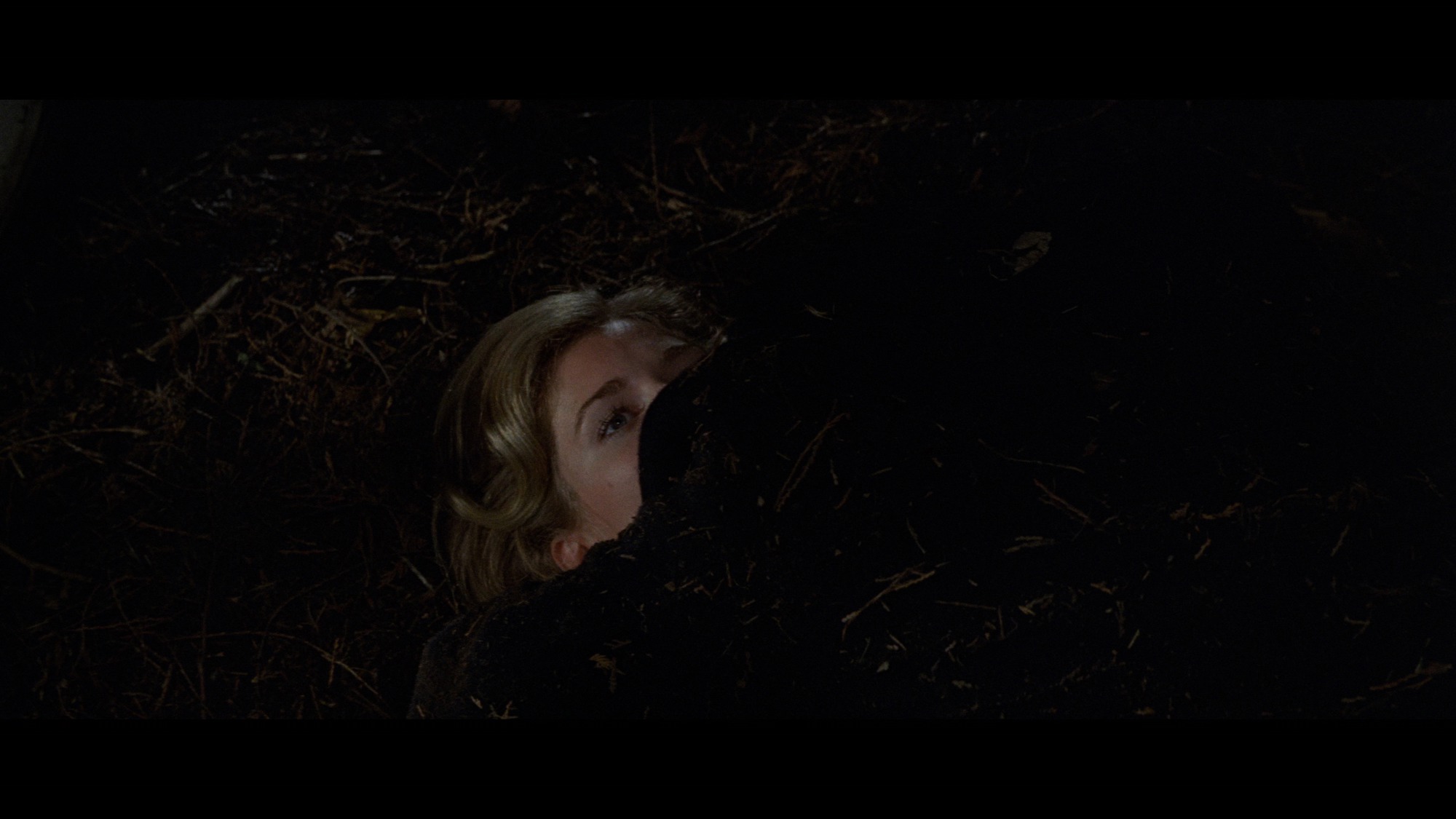Screen capture from Carnal Knowledge