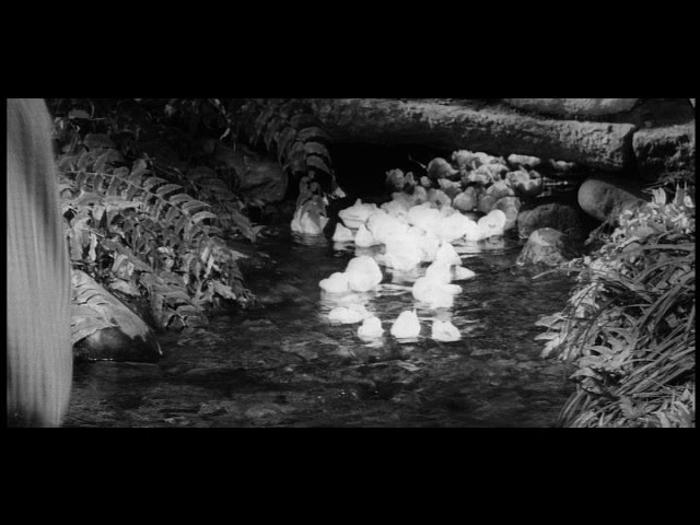 Screen capture from Sanjuro