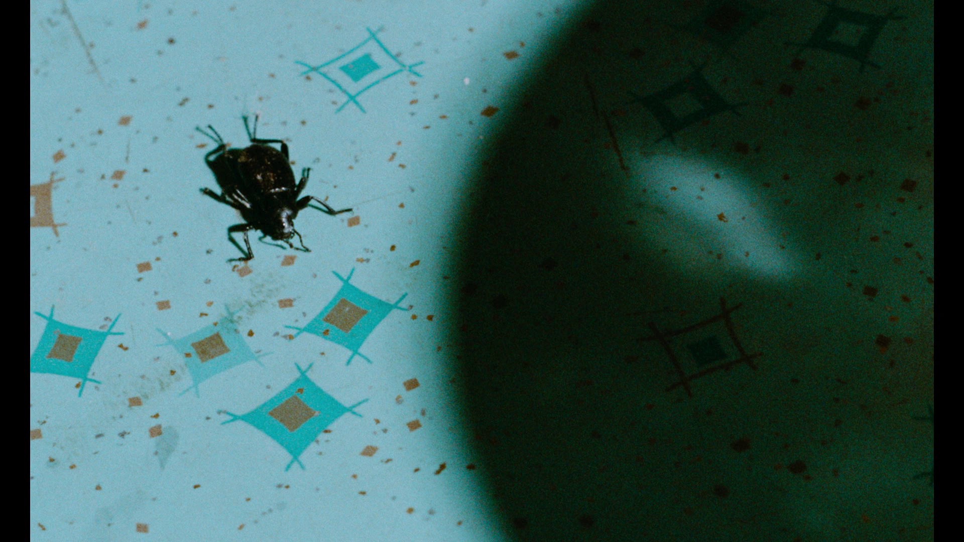 Screen capture from Don’t Play Us Cheap