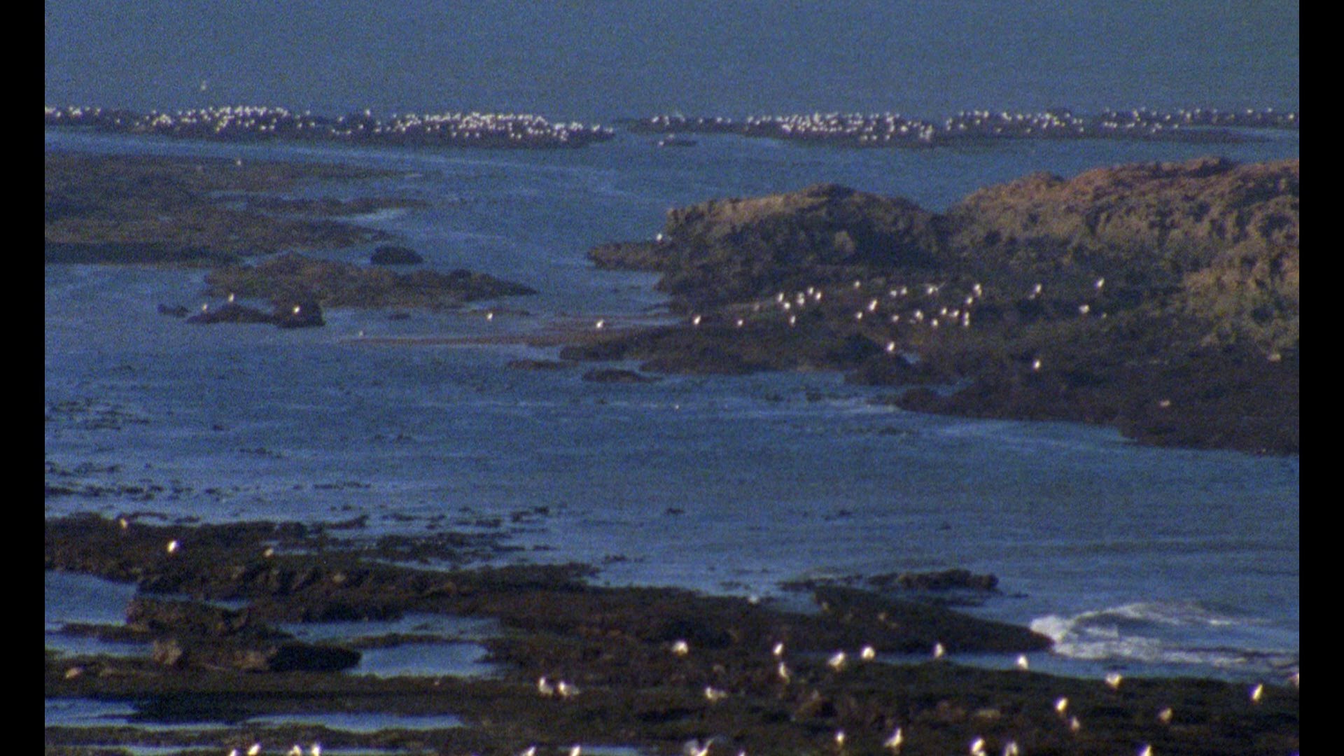 Screen capture from Trances