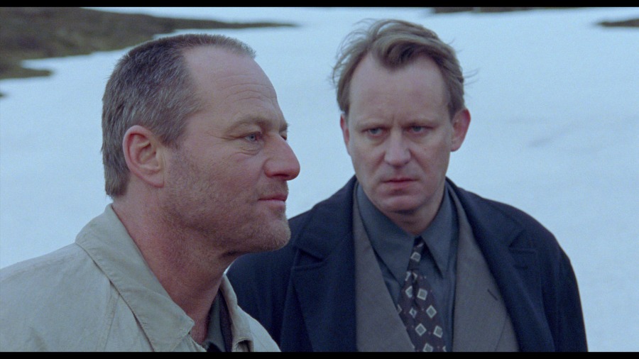 Screen capture from Insomnia
