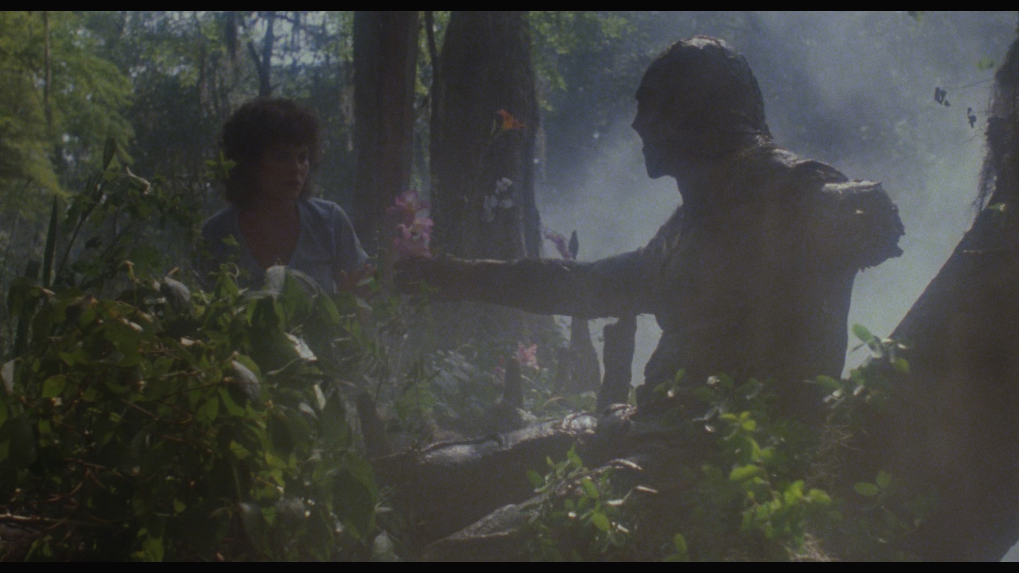 Screen capture from Swamp Thing