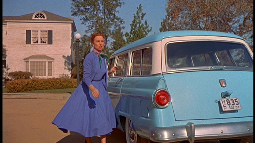 Screen capture from All That Heaven Allows