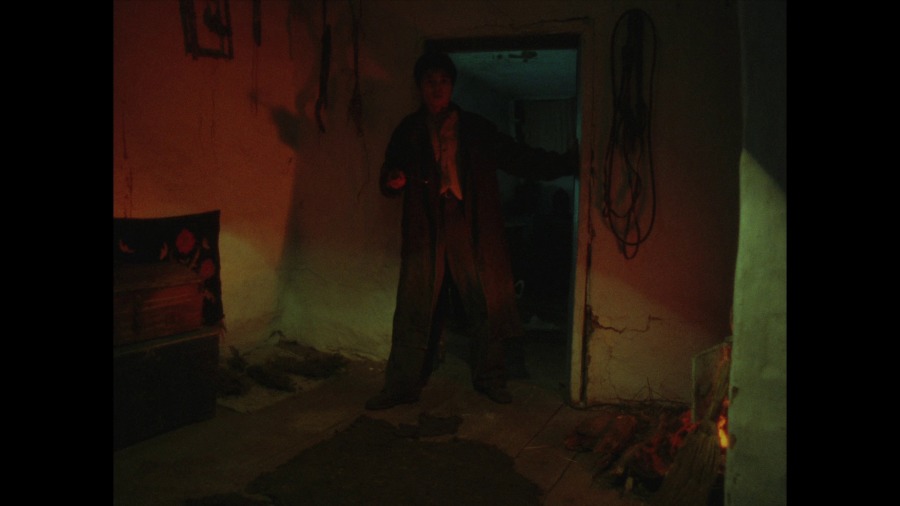 Screen capture from Revenge / Limite