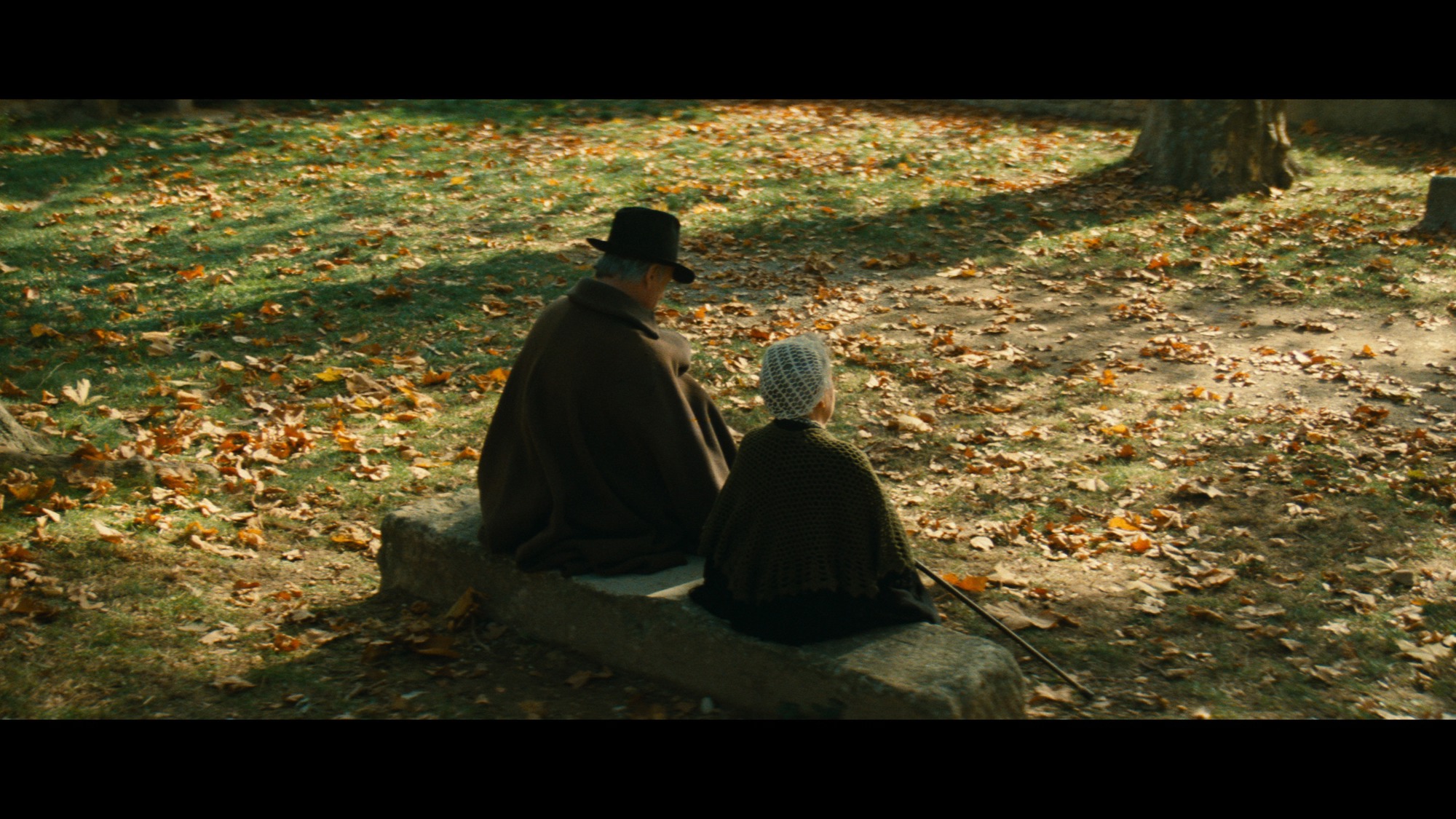 Screen capture from Jean de Florette / Manon of the Spring: Two Films by Claude Berri