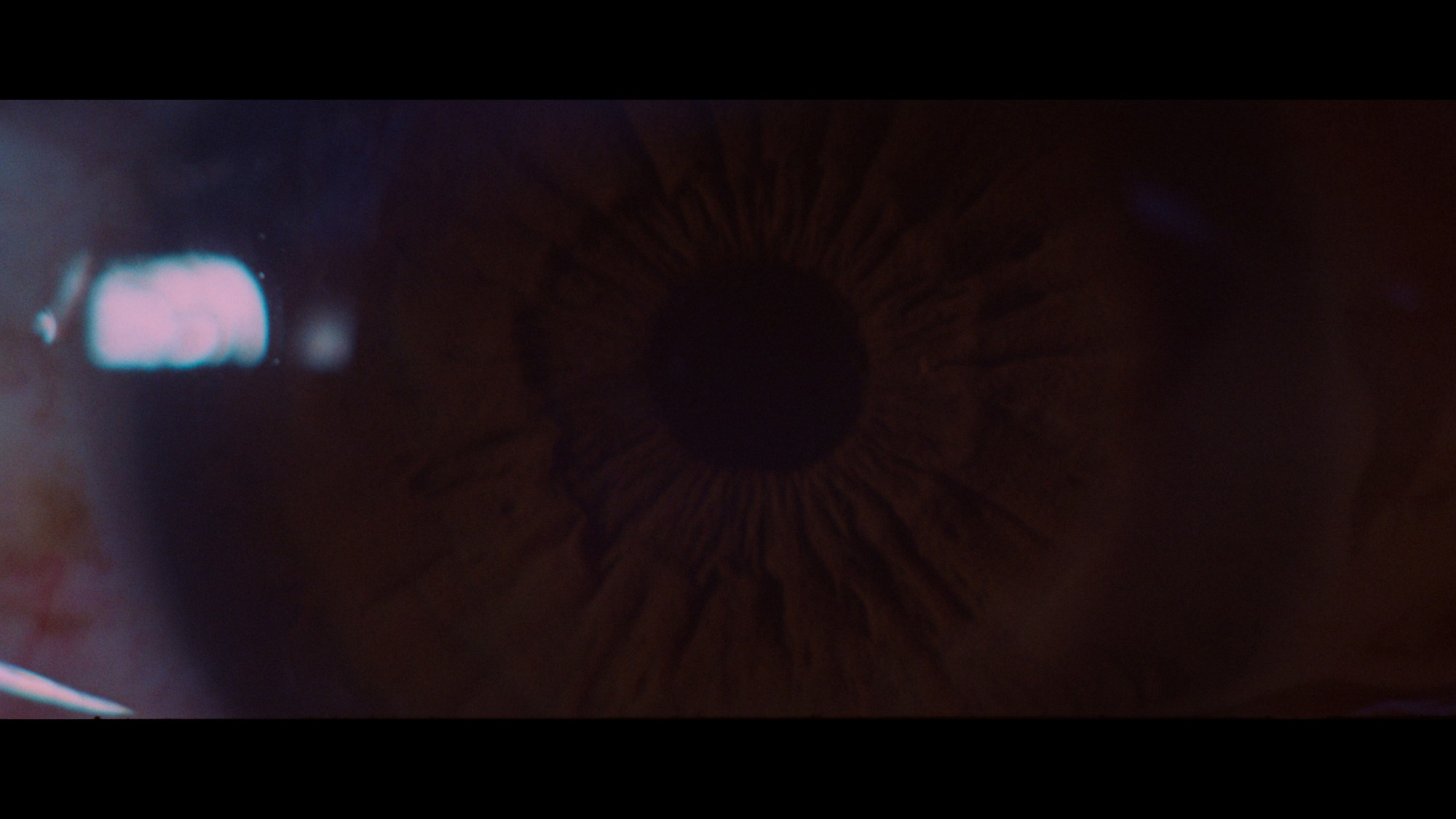 Screen capture from The Cat O’ Nine Tails