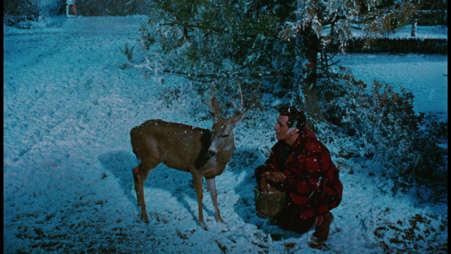 Screen capture from All That Heaven Allows
