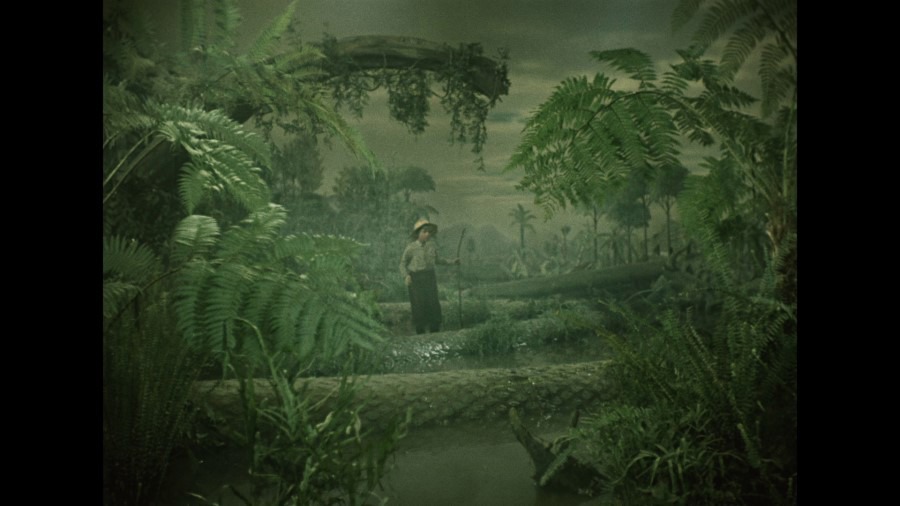 Screen capture from Three Fantastic Journeys by Karel Zeman