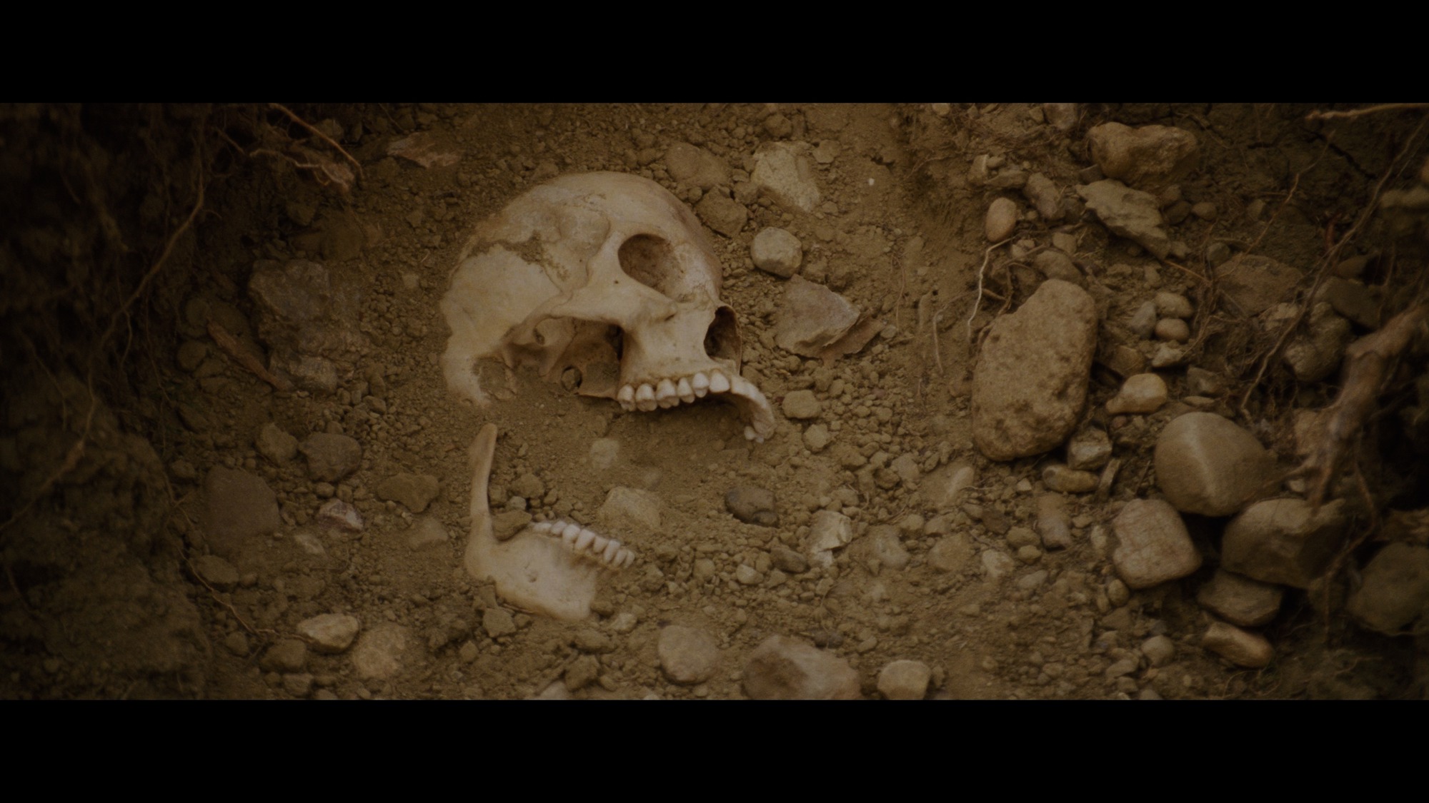 Screen capture from Lone Star