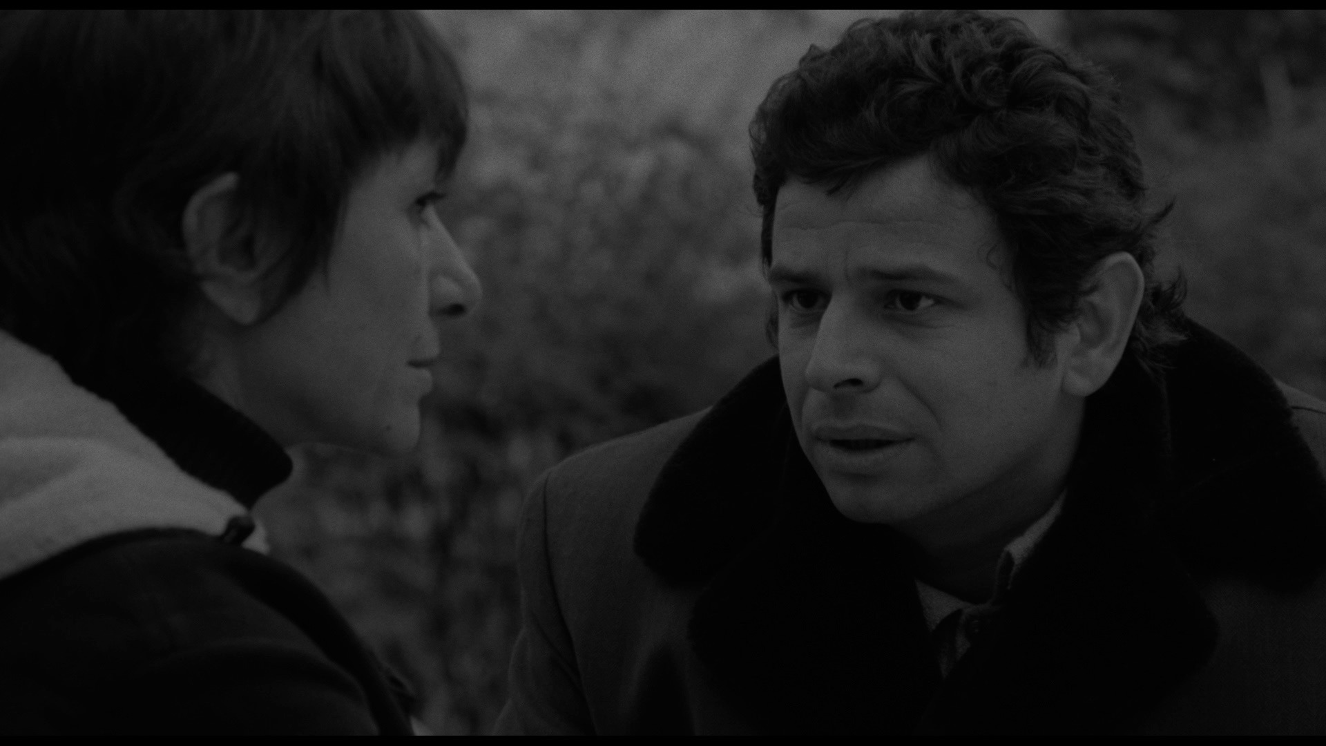 Screen capture from Adoption