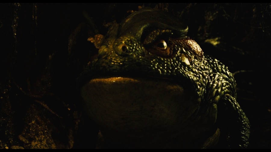 Screen capture from Pan's Labyrinth