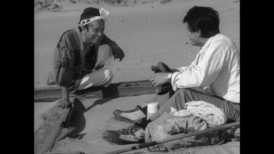 Screen capture from Woman in the Dunes