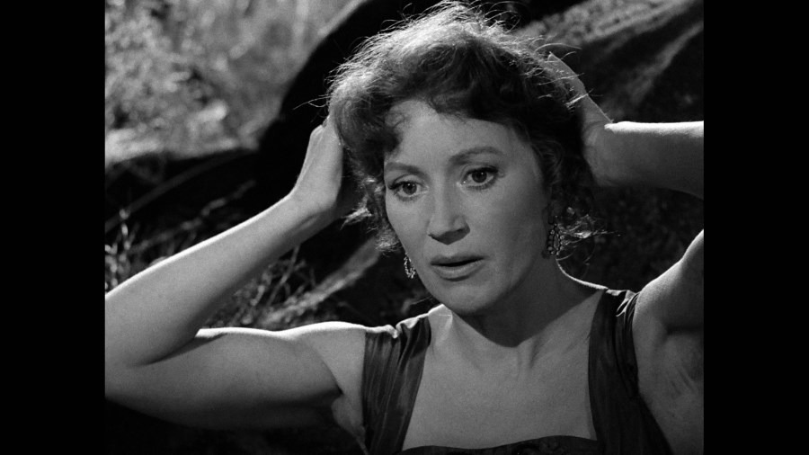 Screen capture from Wild Strawberries