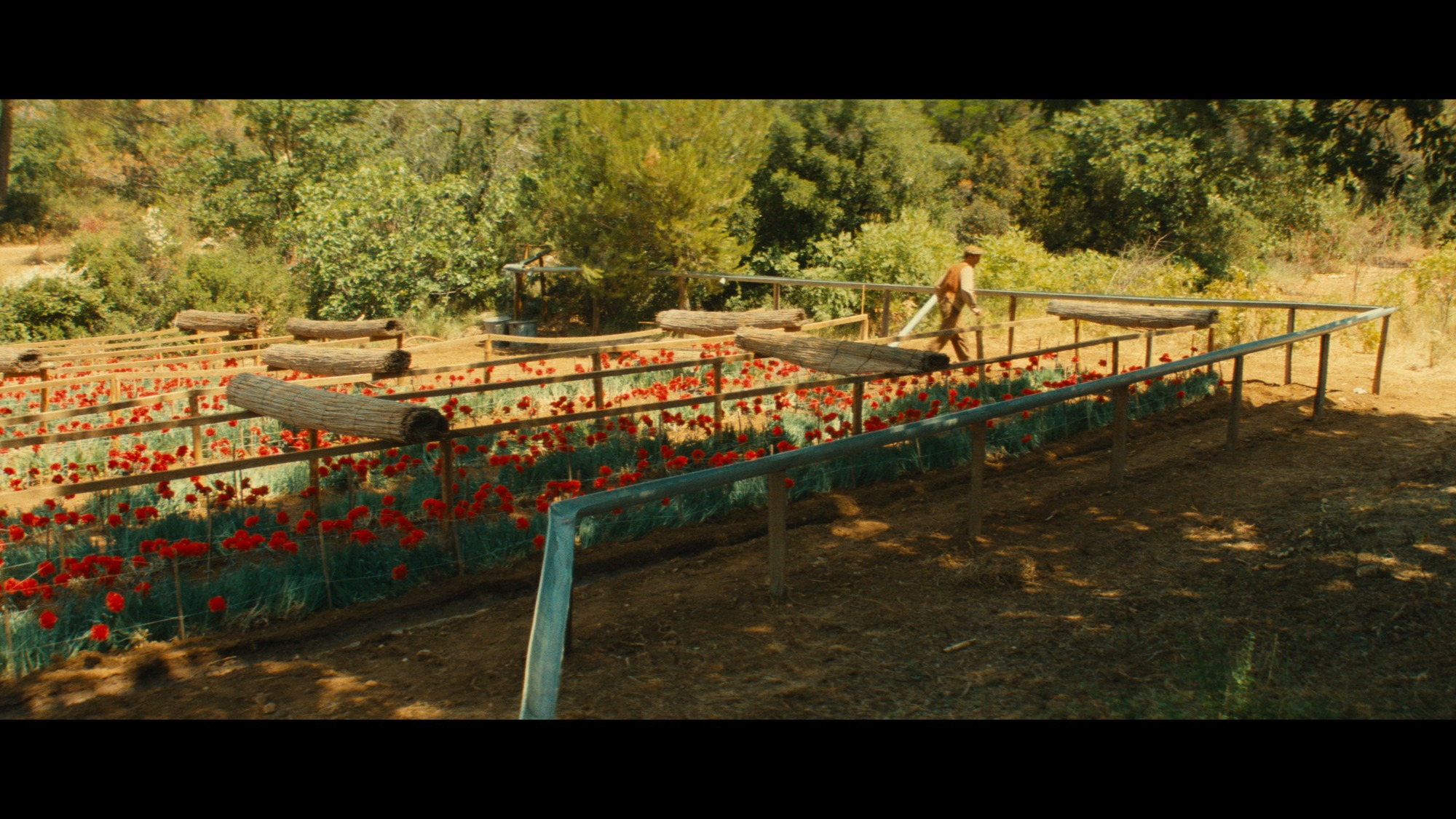 Screen capture from Jean de Florette / Manon of the Spring: Two Films by Claude Berri