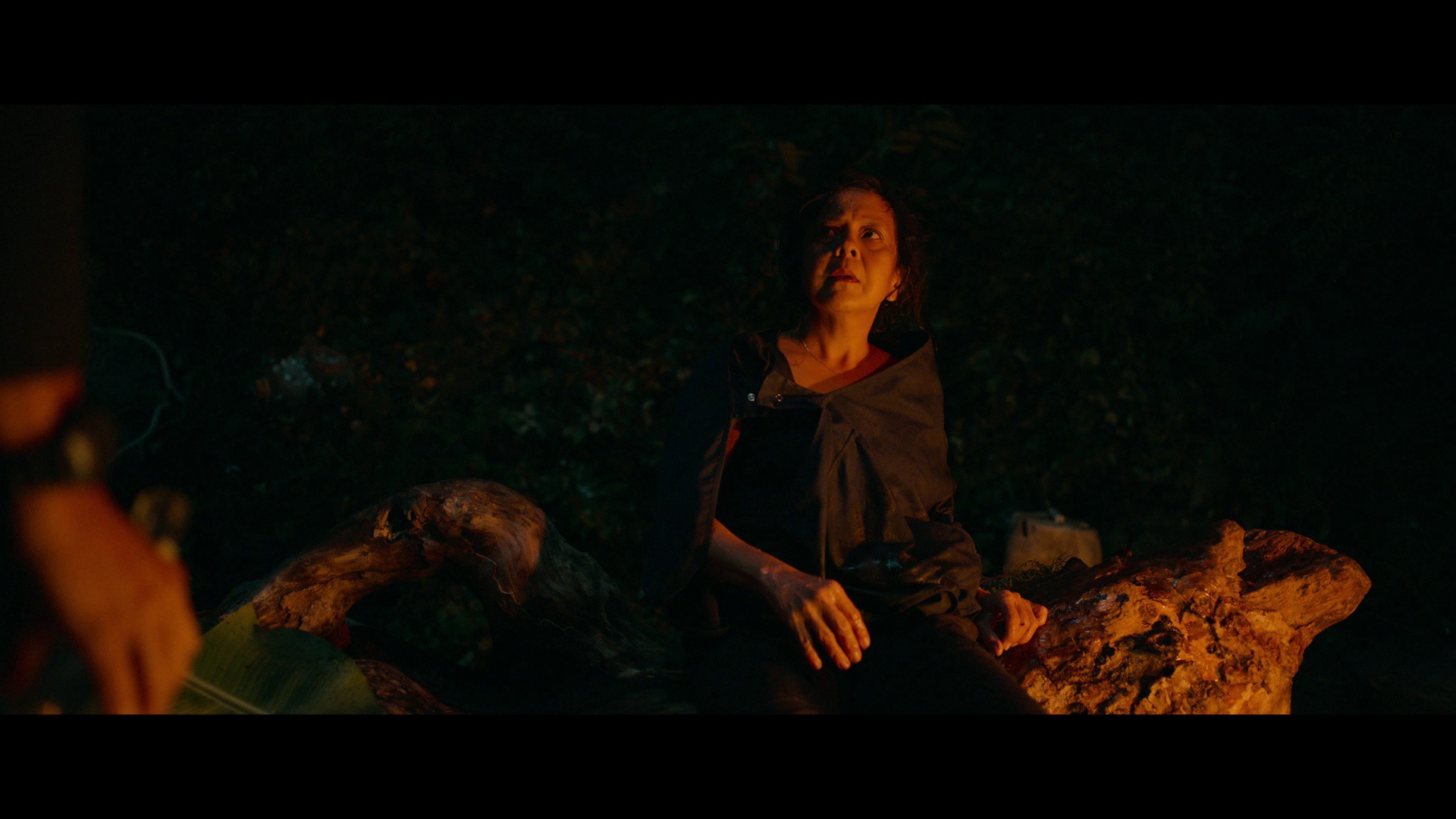 Screen capture from Triangle of Sadness