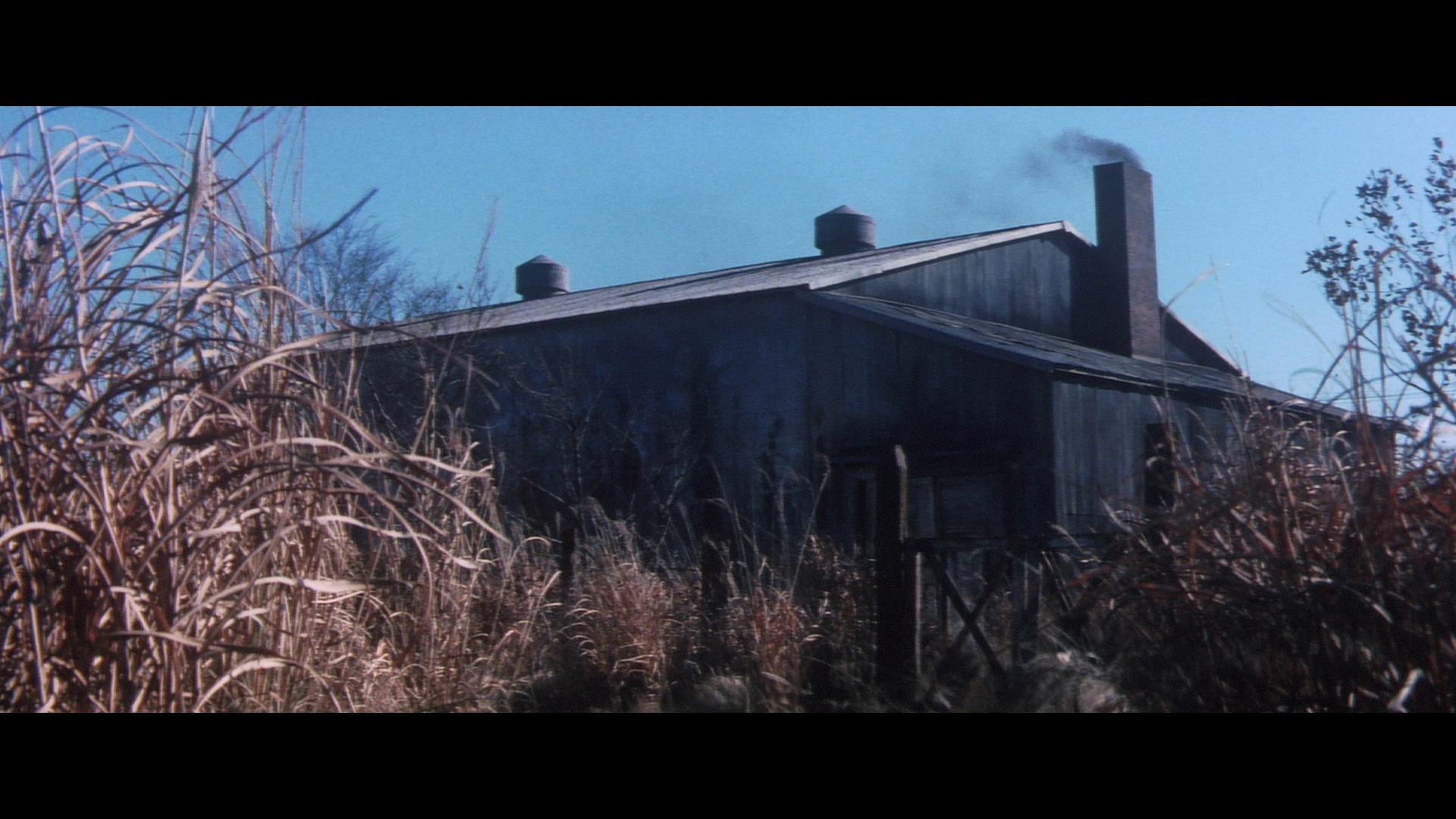 Screen capture from Blind Beast