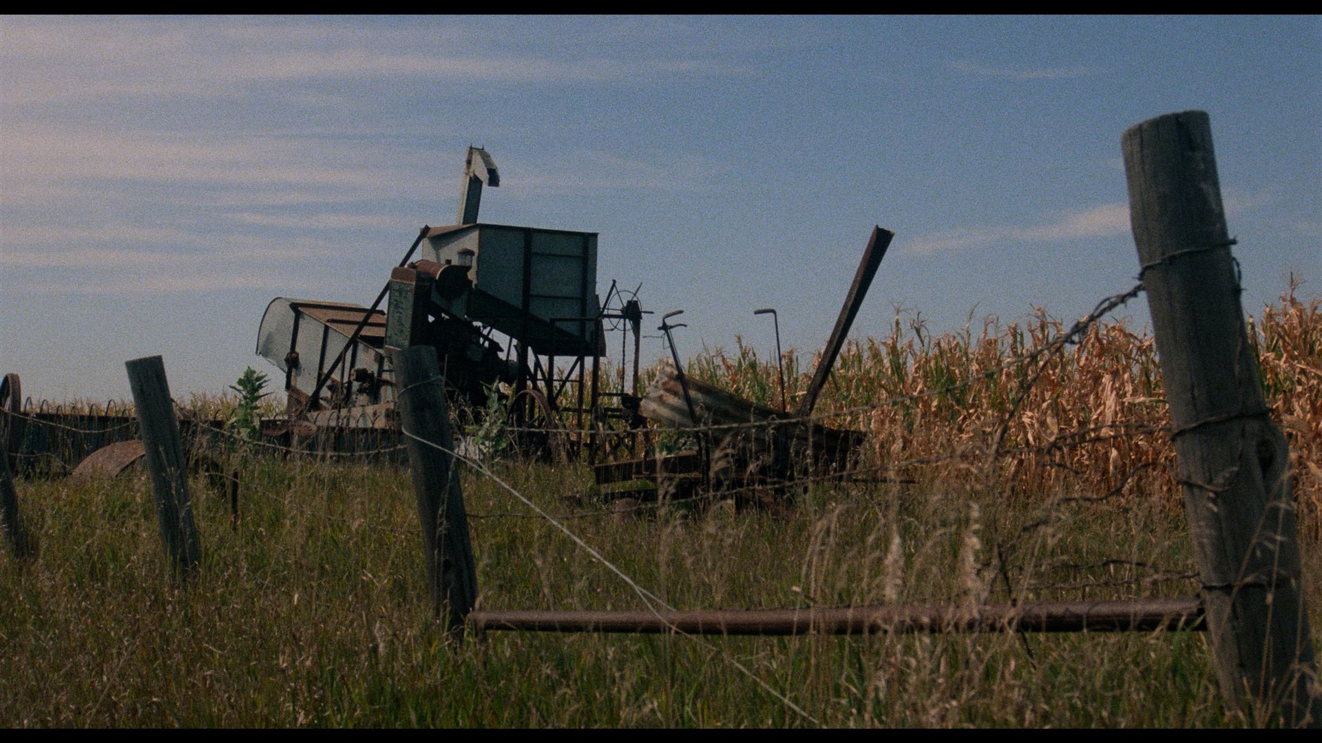Screen capture from Children of the Corn