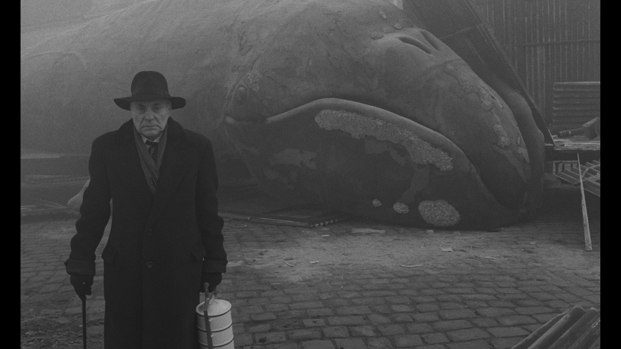Screen capture from Werckmeister Harmonies