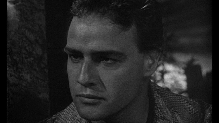Screen capture from The Fugitive Kind