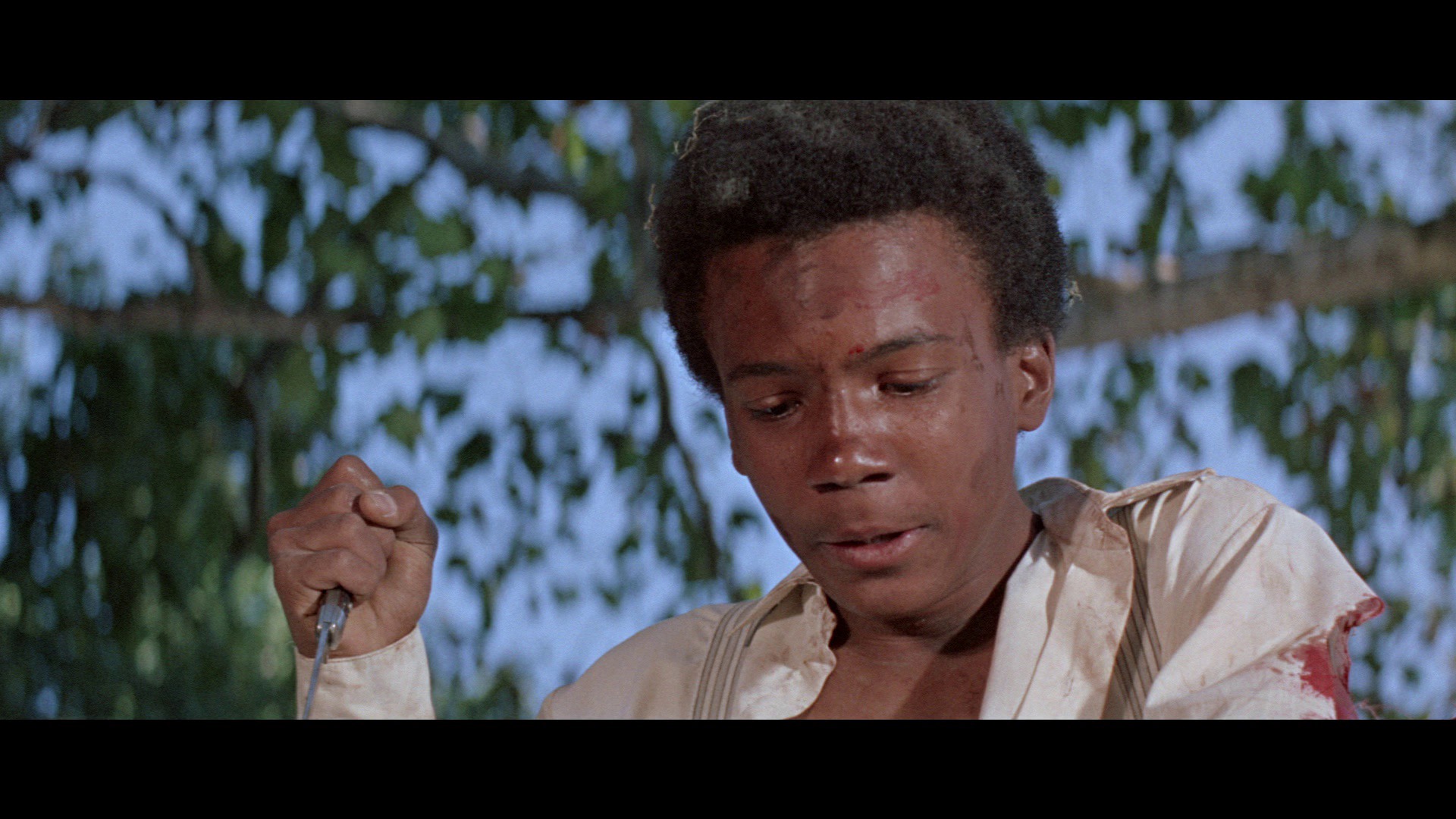Screen capture from The Learning Tree