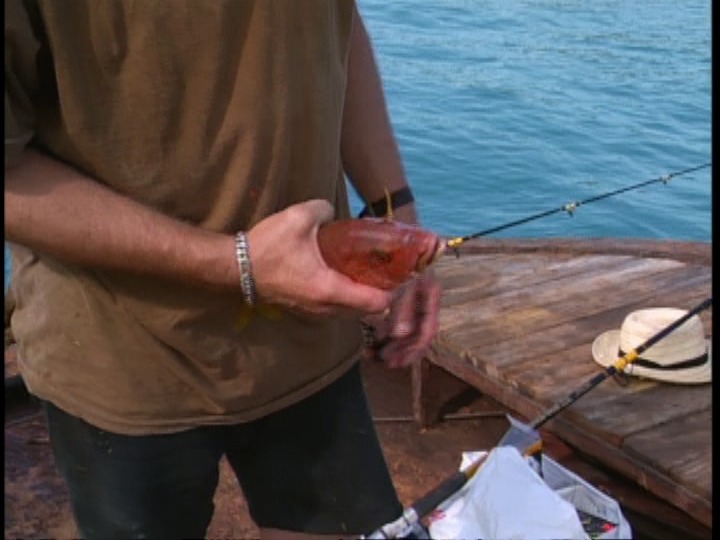 Screen capture from Fishing with John