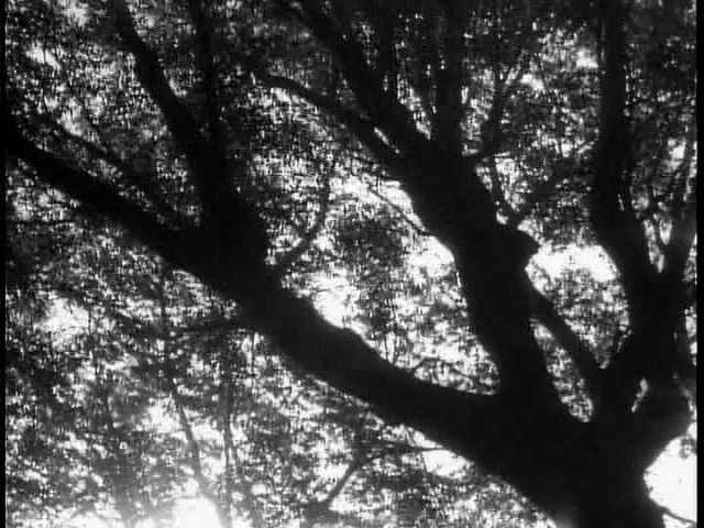 Screen capture from Seven Samurai