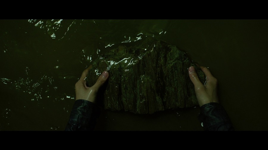 Screen capture from Parasite