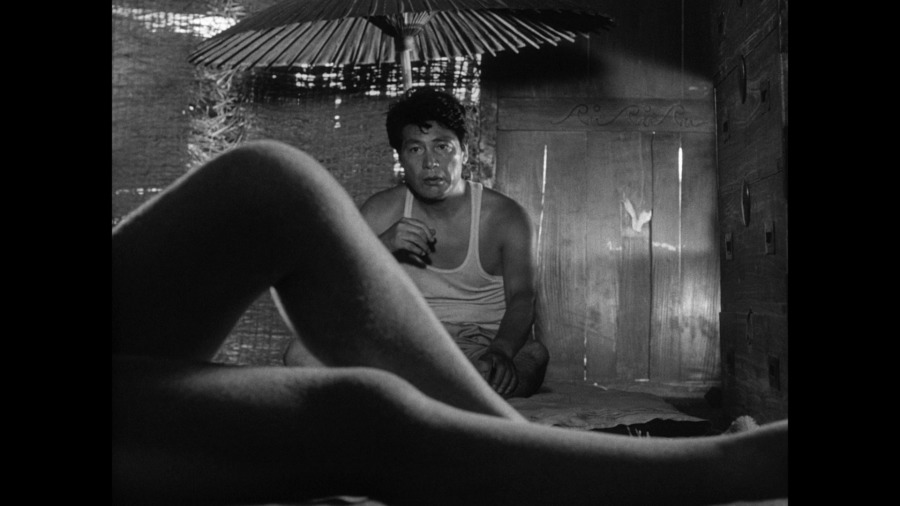 Screen capture from Woman in the Dunes