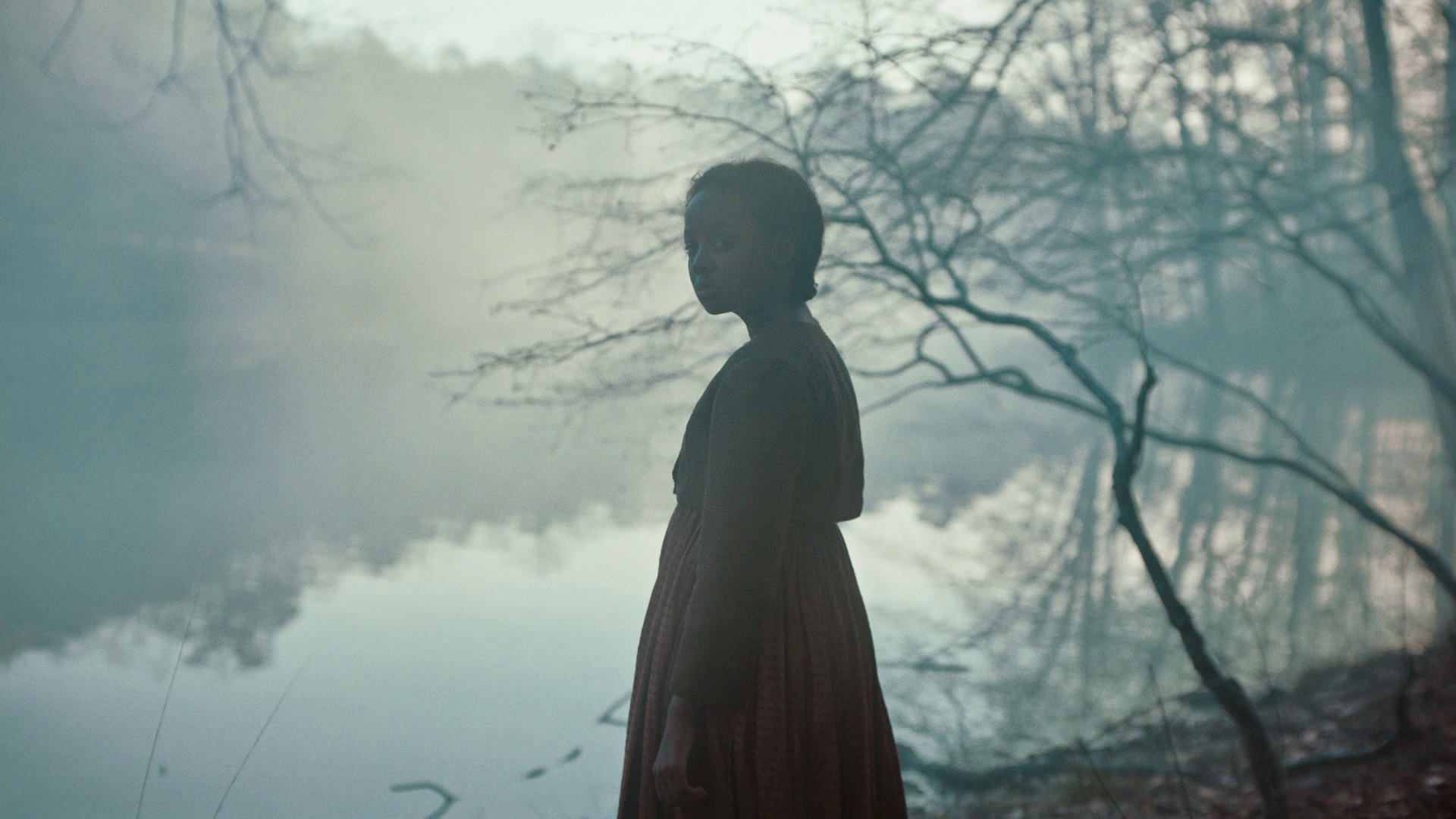 Screen capture from The Underground Railroad