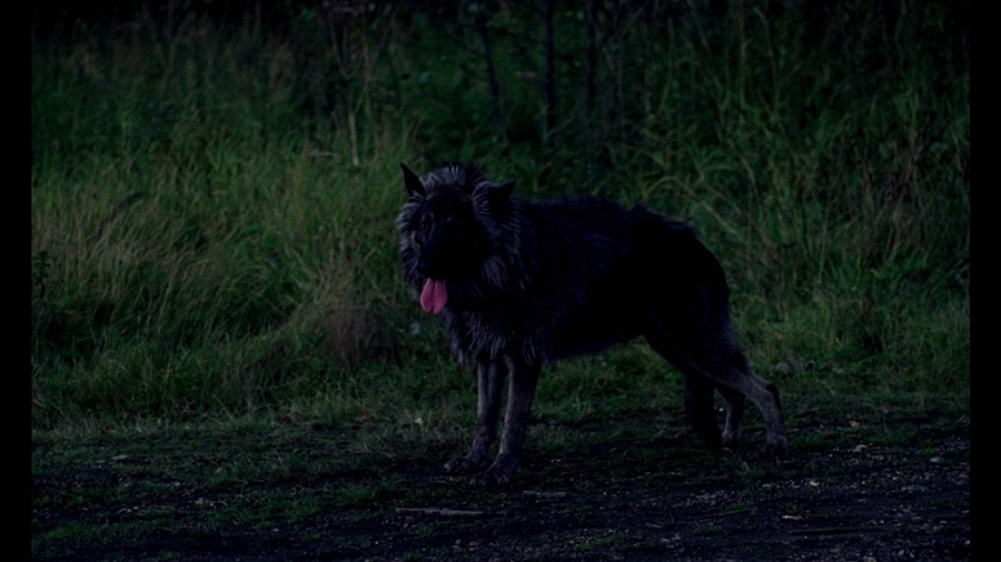 Screen capture from The Beast Must Die