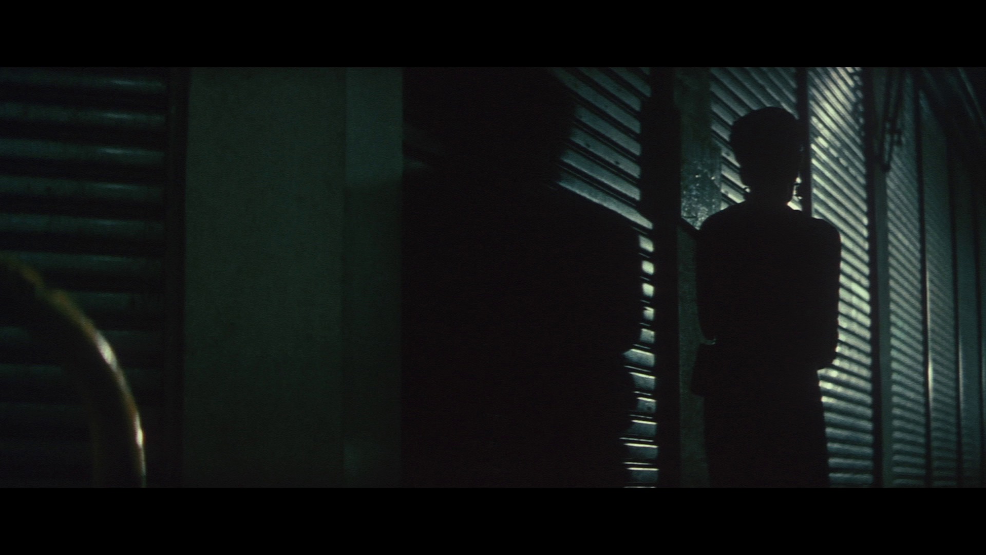 Screen capture from The Shape of Night